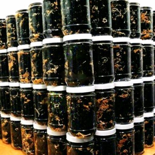 rong-bien-say-me-toi