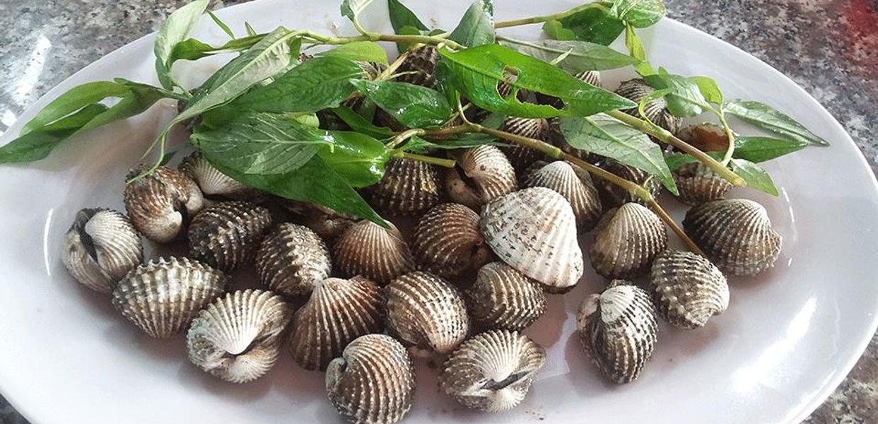 Út-Cưng---Ốc-Đêm---Chung-cư-Lê-Thi-Riêng