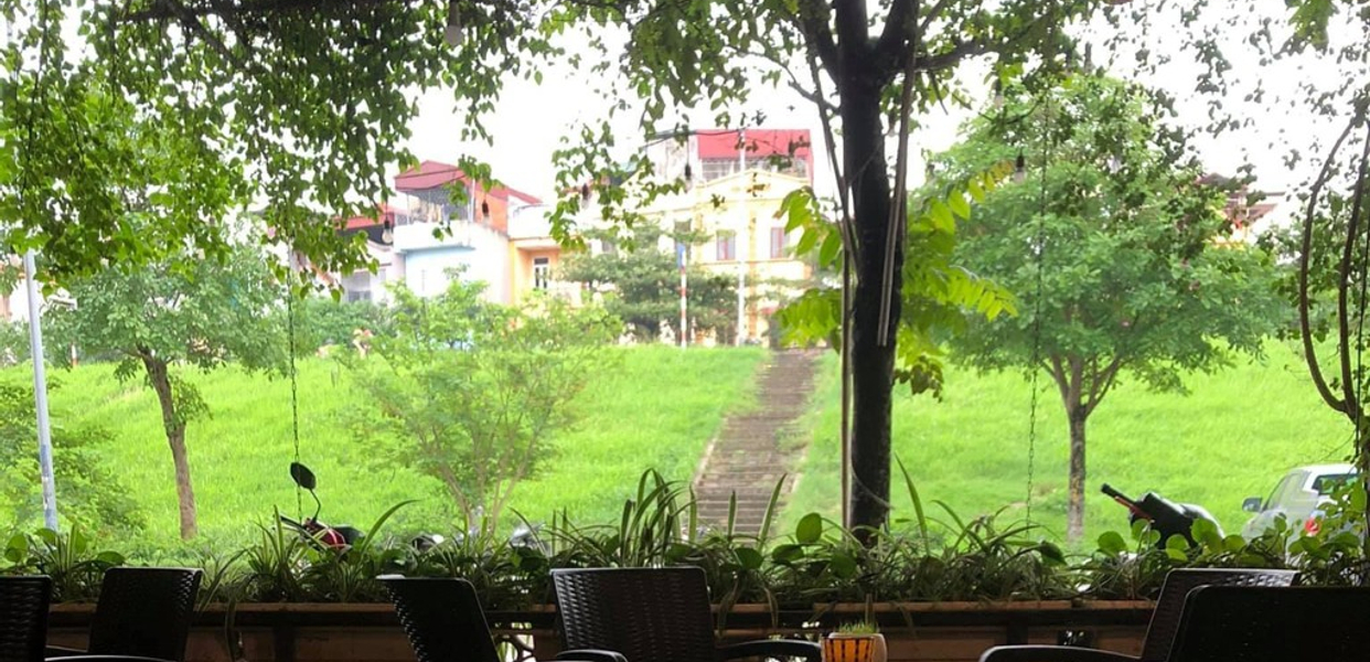 meo-coffee-108-ca-phe-sinh-to-ngoc-thuy