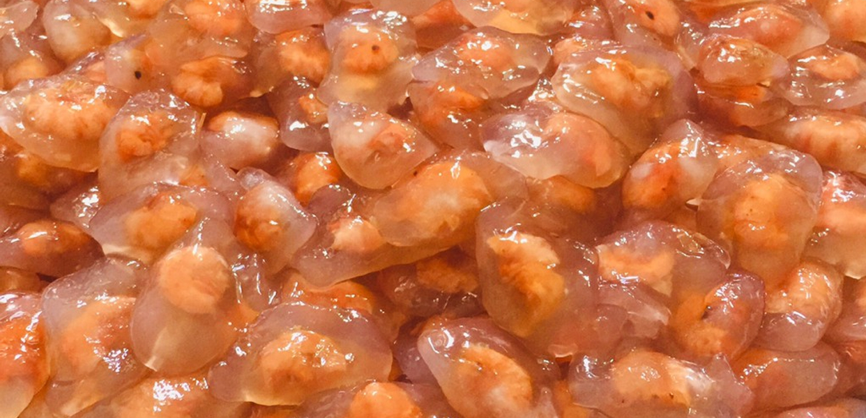 banh-bot-loc-mon-ngon-phan-thiet-tran-nhat-duat