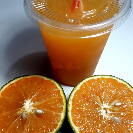 cam-ep-nguyen-chat-100