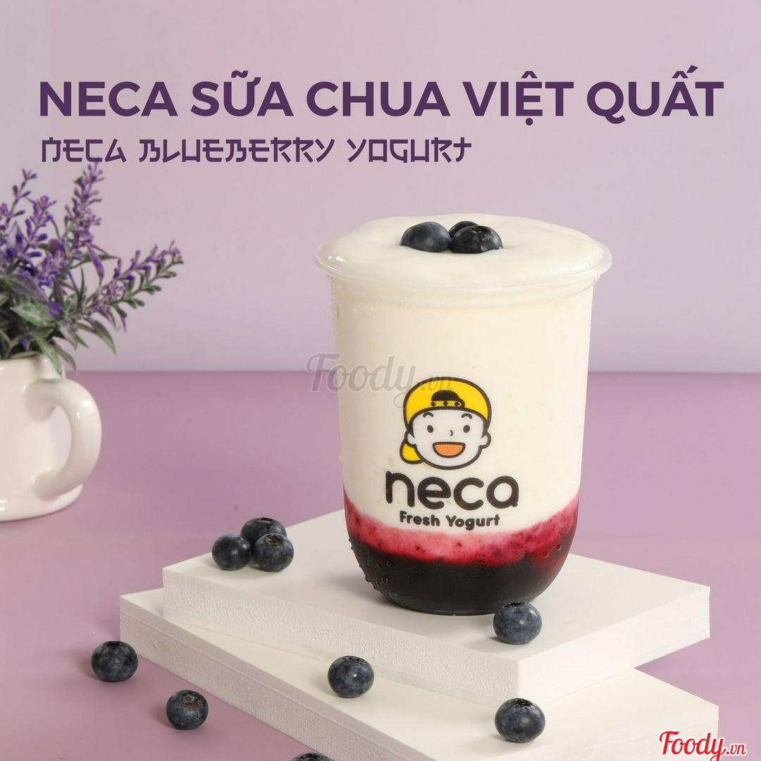 neca-sua-chua-uong-viet-quat