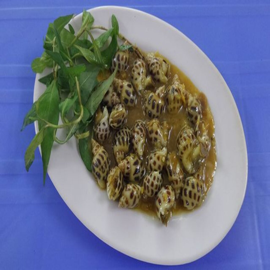 oc-hihi-22-tran-quy-cap