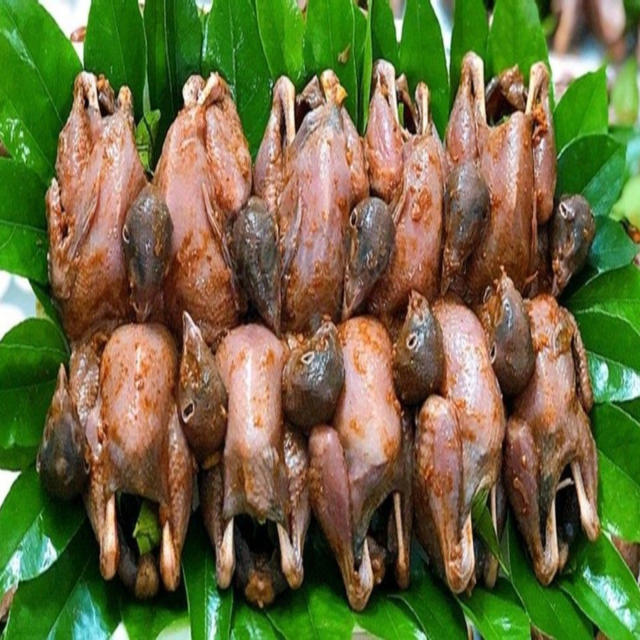 Chim-Cút-Quay---Trần-Cung