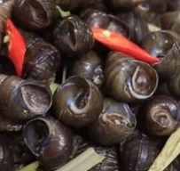 hoai-linh-oc-nong-cau-vong