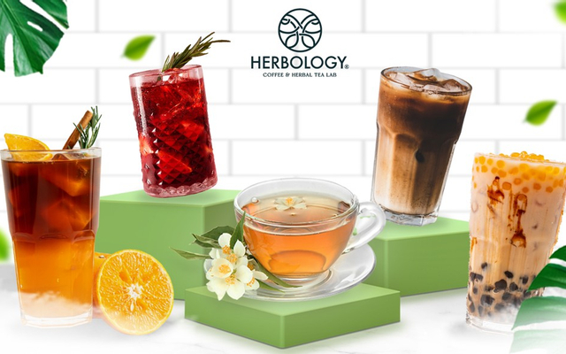 herbology-tra-thao-moc-ho-van-hue