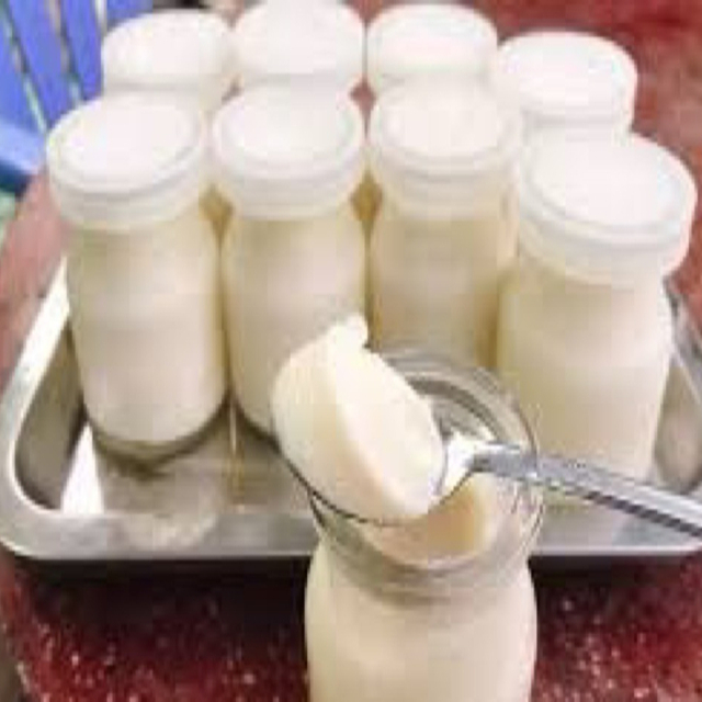 thao-ly-banh-flan-yaourt-homemade-ton-that-thuyet