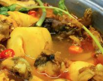 Quán-Kim---Ốc-Lẩu-Hải-Sản---Lê-Văn-Quới