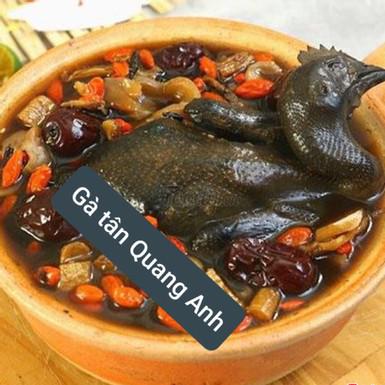 ga-ac-tan-ngai-cuu-thuoc-bac