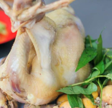 gata-326-ga-luoc-nguyen-con-nguyen-trong-tuyen