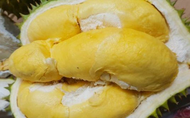 hk-foods-sau-rieng-rung-hoang-cau