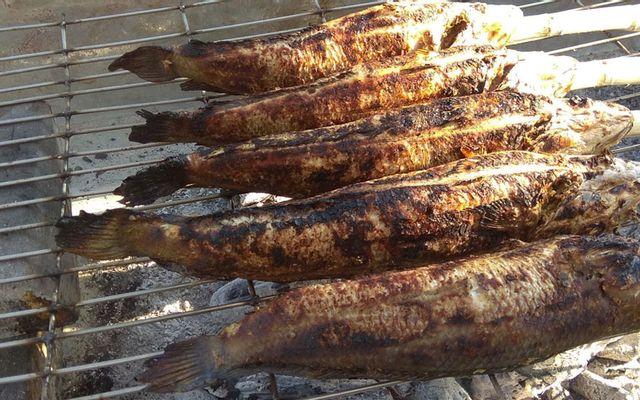 Cá-Lóc-Nướng-&-Gà-Nướng---Nguyễn-Thị-Định