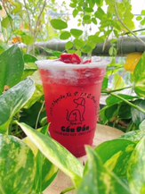 tiem-tra-gau-an-nguyen-xi