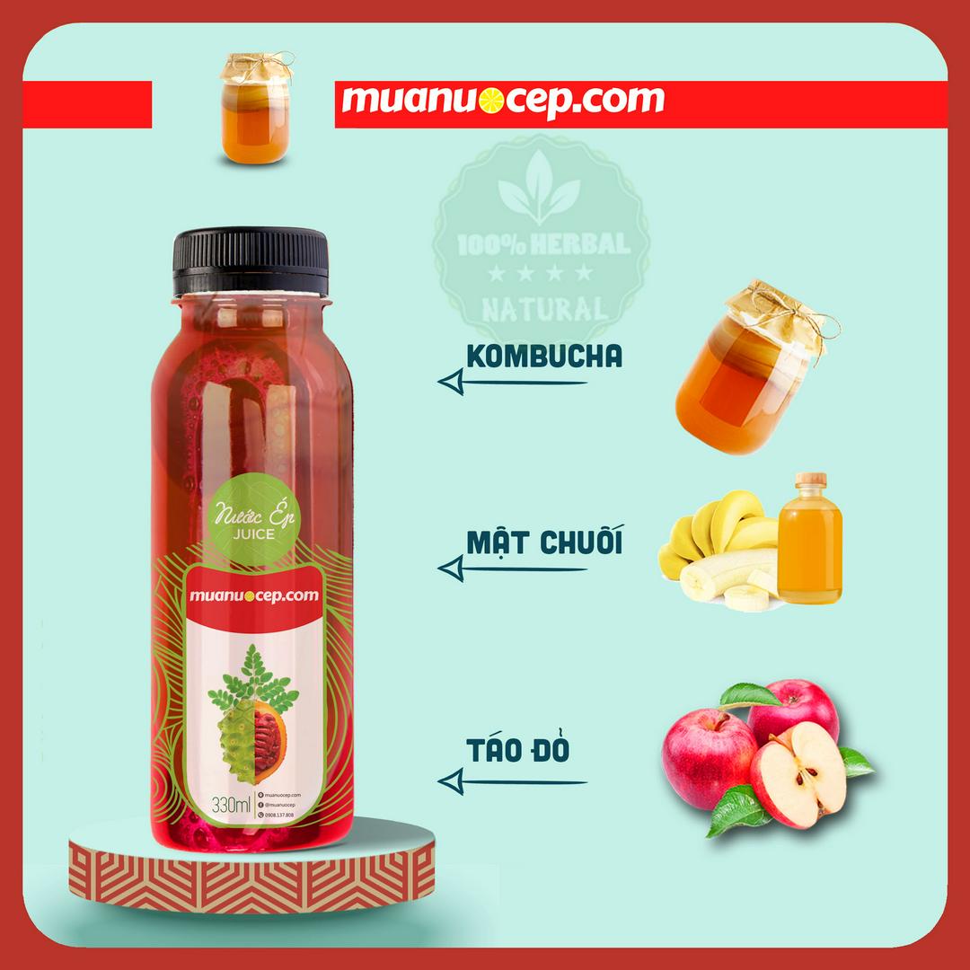 kombucha-tra-len-men-reddy-healthy
