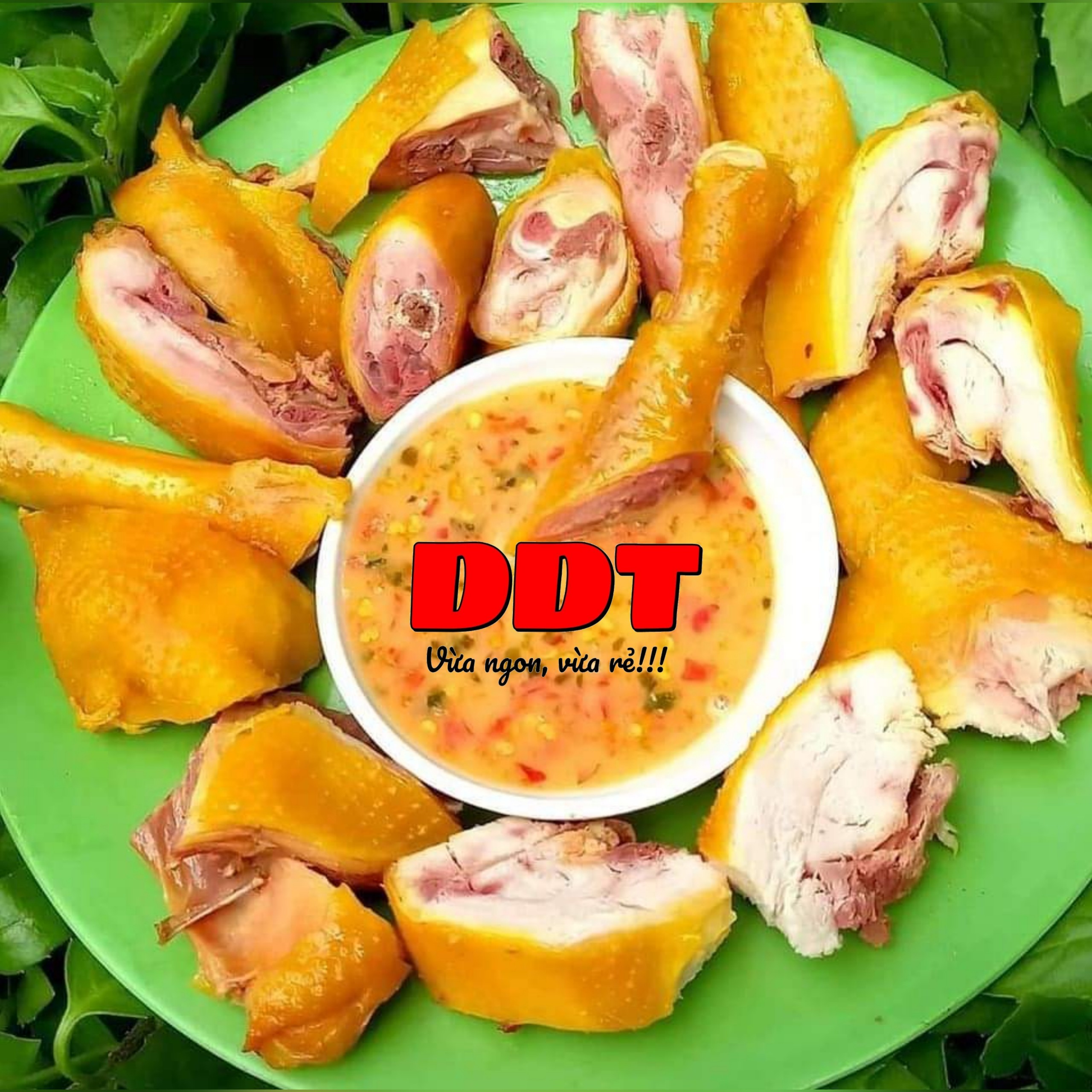 ddt-food-ga-u-muoi-an-vat-le-uc-tho