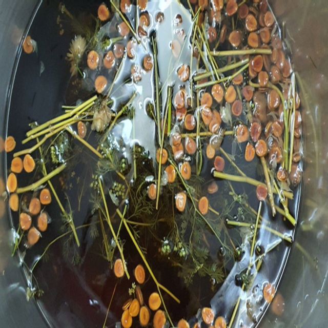 sam-lanh-di-5-tam-danh