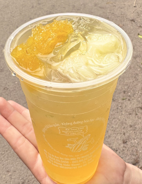 tra-bi-ao-diep-chi-inh-thon