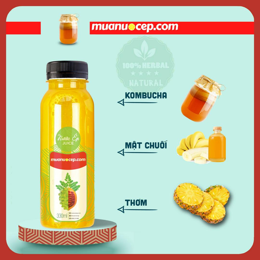 kombucha-tra-len-men-golden-healthy