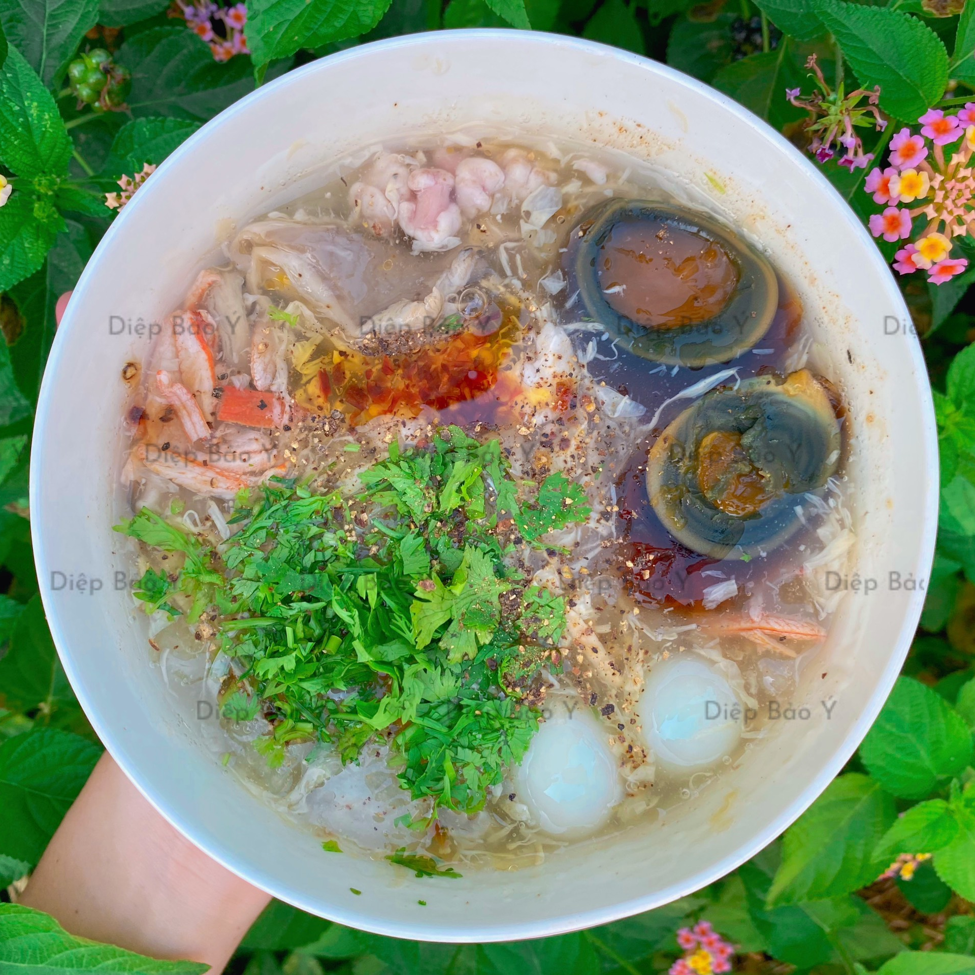 sup-cua-diep-bao-y-tx43