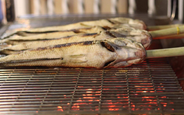 ca-loc-nuong-tay-nam-le-quang-inh