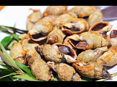 oc-ngon-cach-mang-thang-8