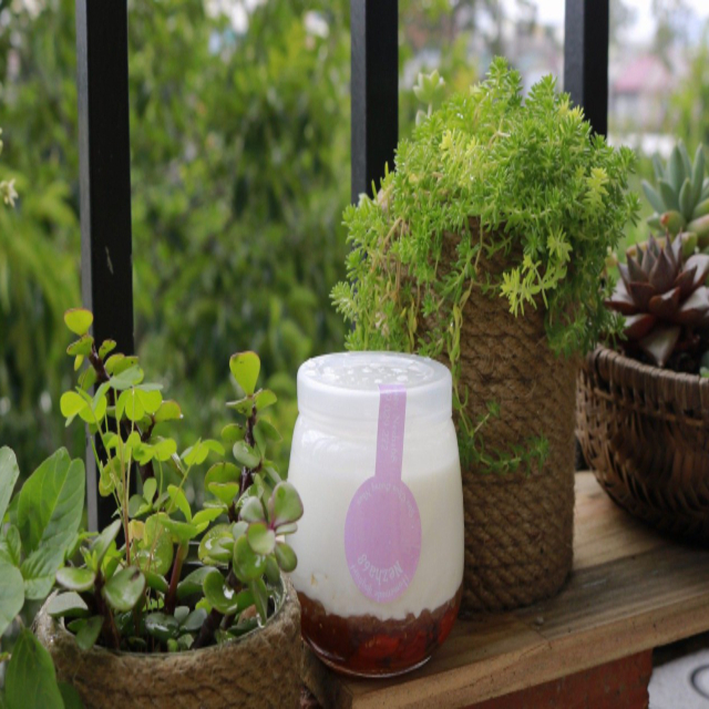 an-vat-sua-chua-nezha68-ton-an