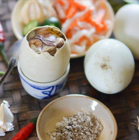 trung-vit-lon-phuc-loc-le-binh