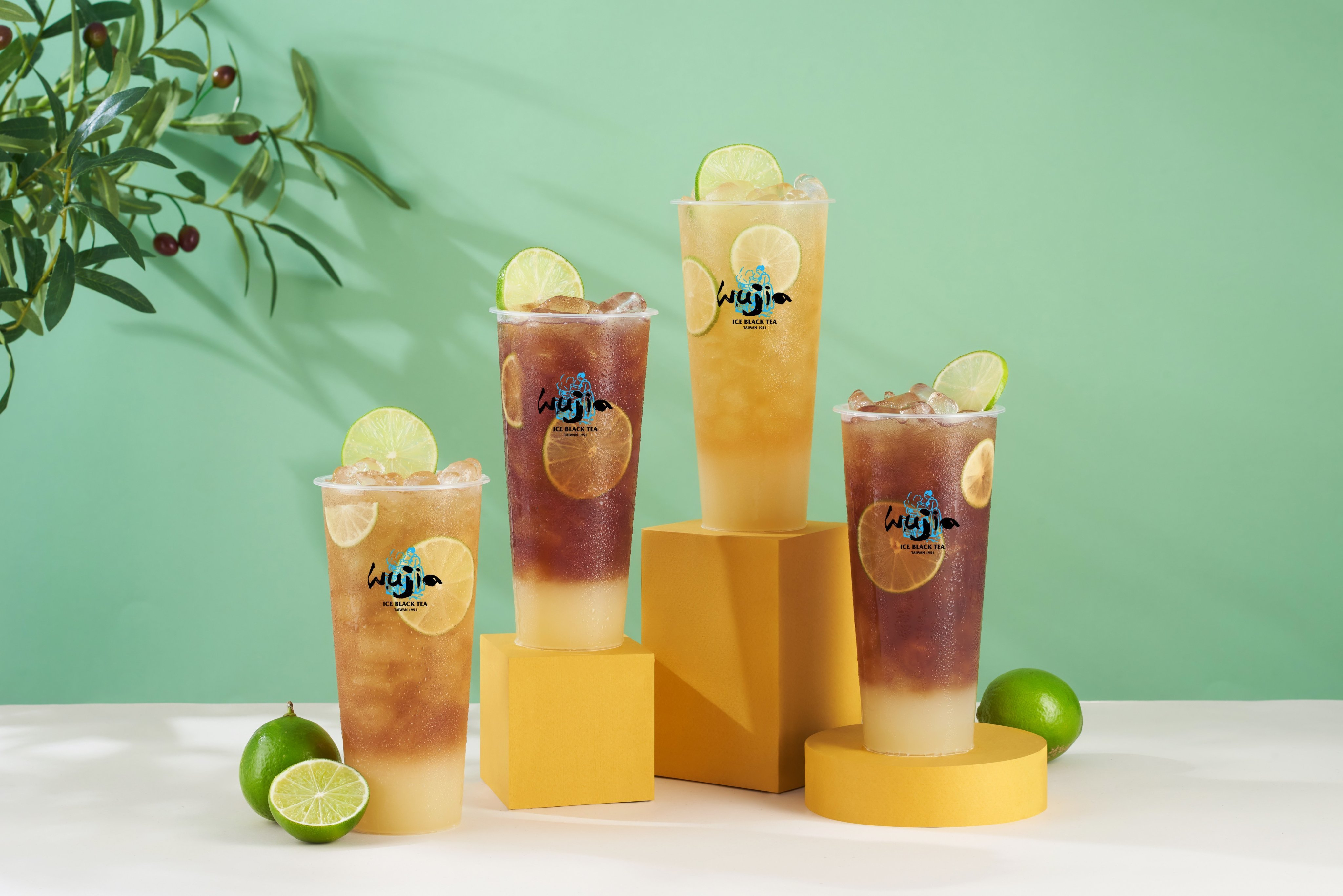 hong-tra-ngo-gia-le-trong-tan