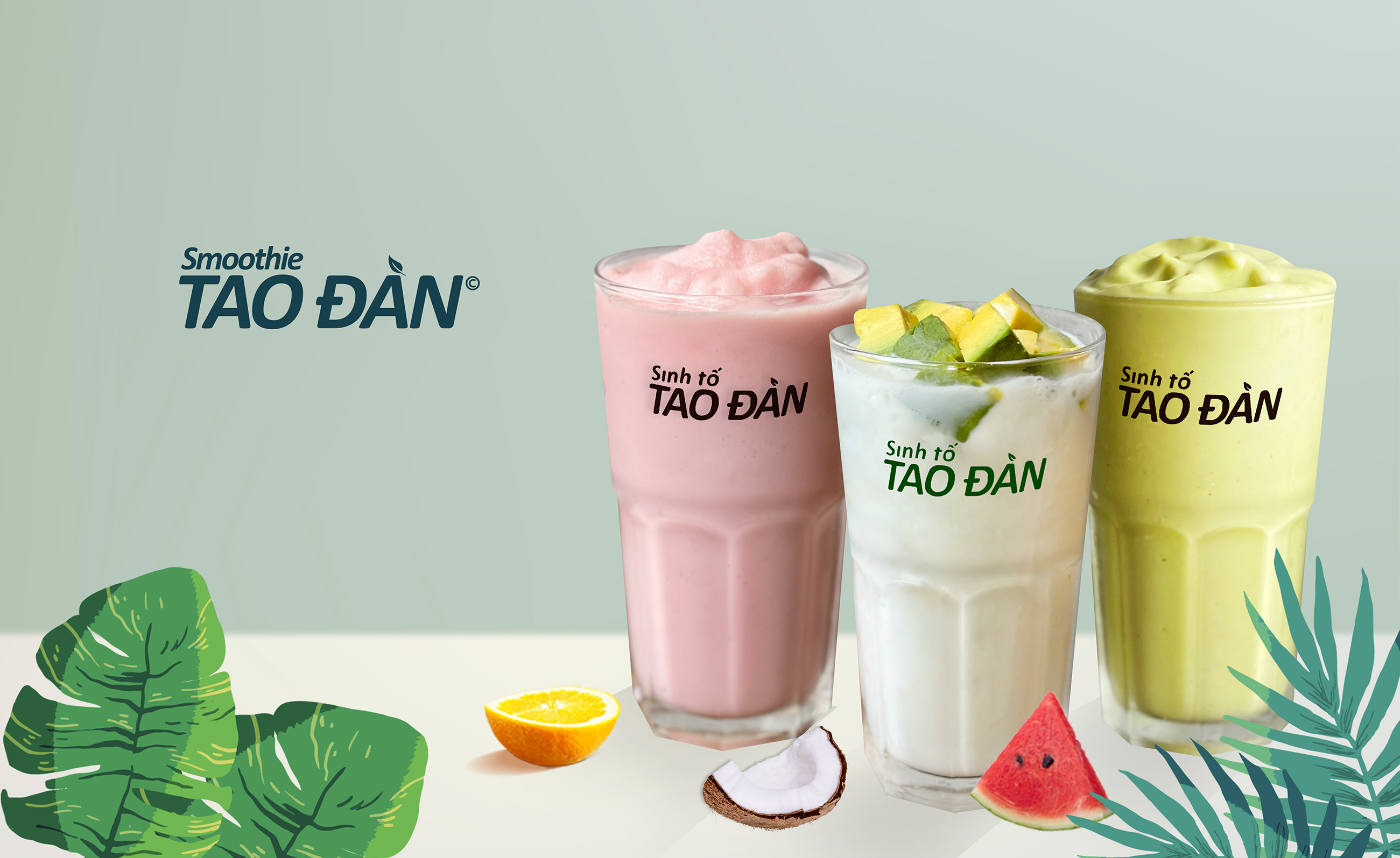 sinh-to-tao-an-phan-xich-long