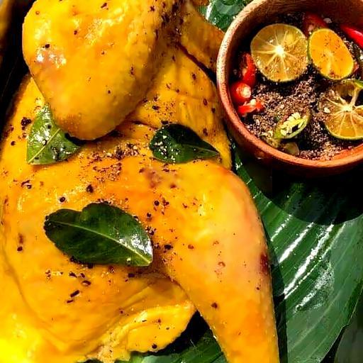 ga-u-muoi-thien-di-2-nam-cao