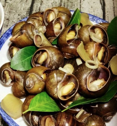 Ốc-Nóng-Cô-Út-Hà-Thành---Minh-Khai