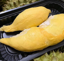 sau-rieng-sach-tk15-nguyen-canh-chan