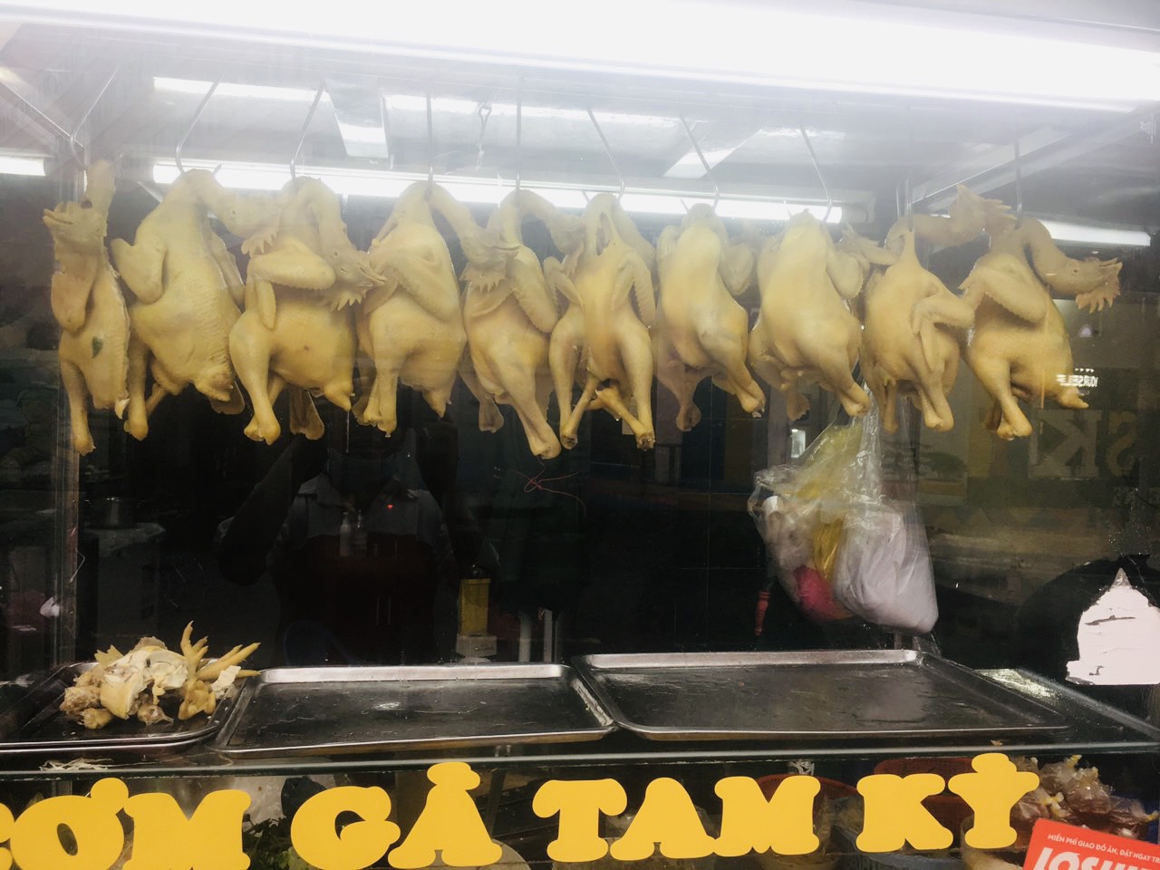 ga-ta-tam-ky-thanh-thuy-nguyen-uc-thuan