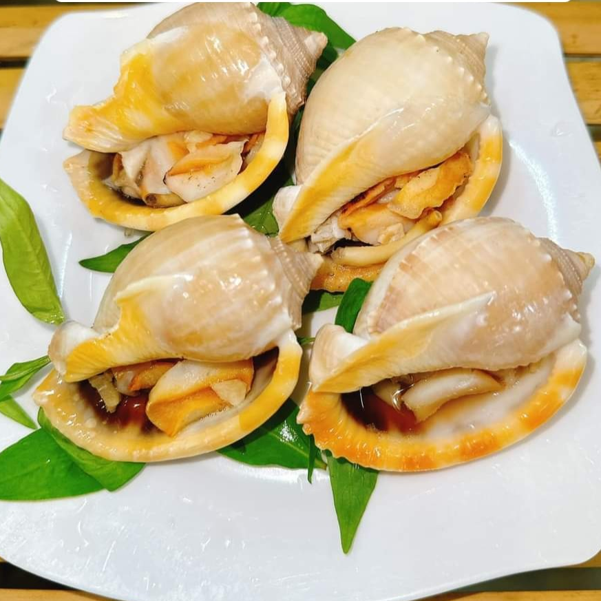 quan-oc-hien-luy-ban-bich