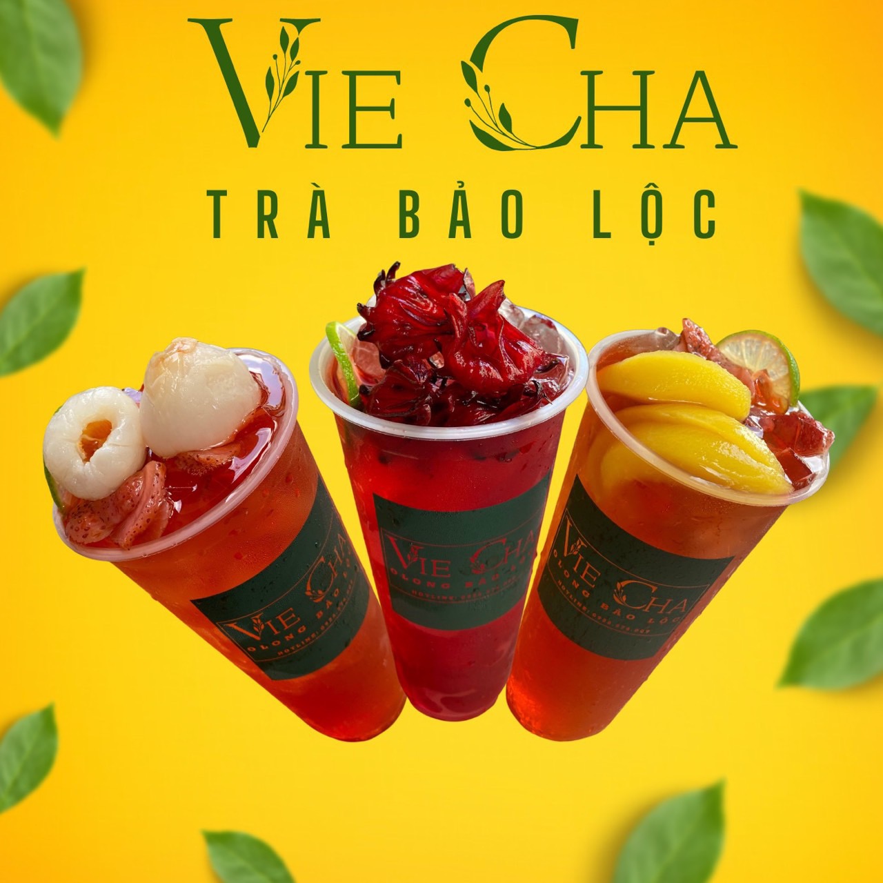 vie-cha-tra-trai-cay-tra-dau-tran-khanh-du