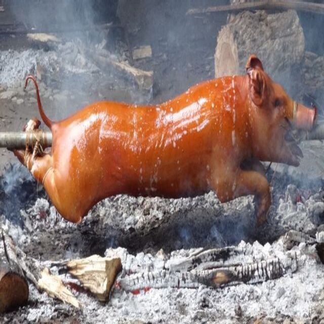 heo-quay-sang-map-quang-trung